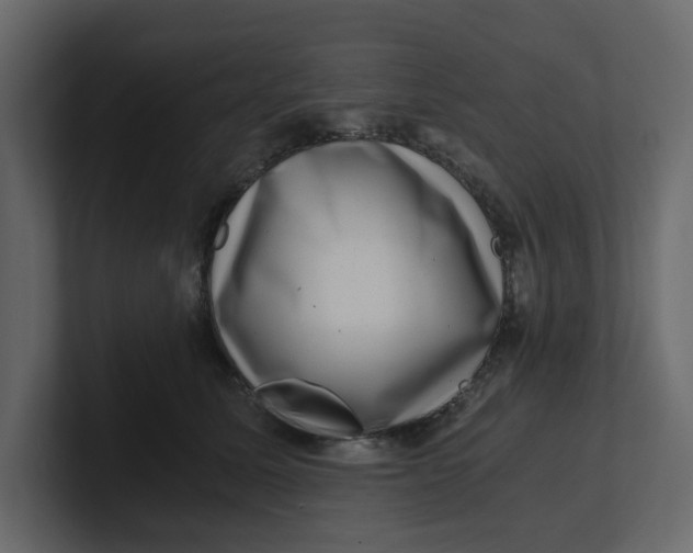 X0000100900611200807151119