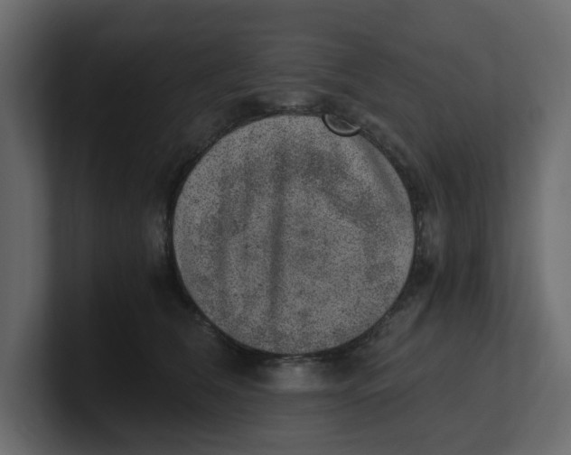 X0000100900612200807151119