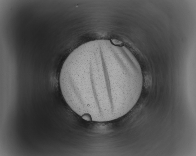 X0000100900613200807151119