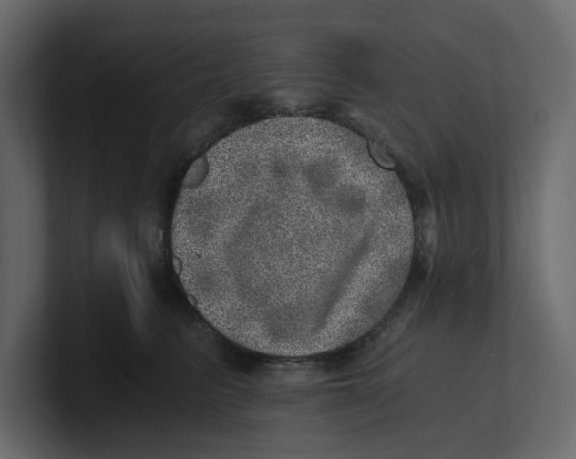 X0000100900615200807151119