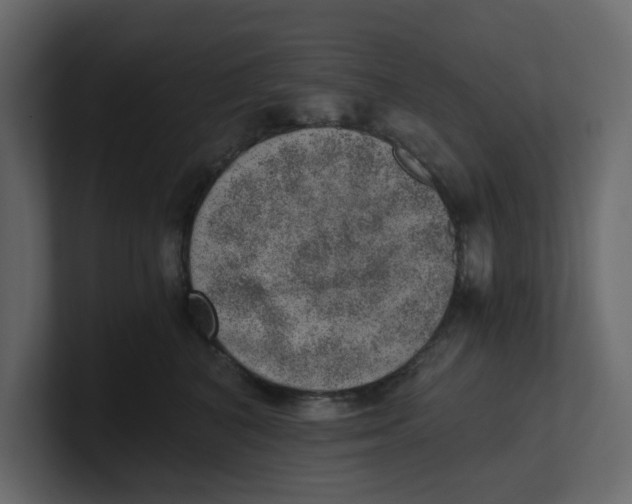 X0000100900616200807151119