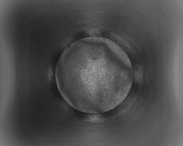 X0000100900618200807151119