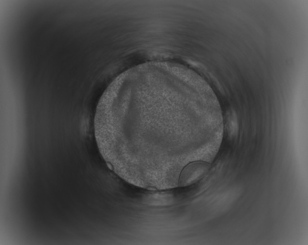 X0000100900619200807151119