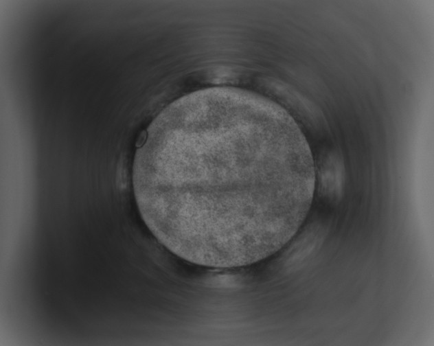 X0000100900620200807151119