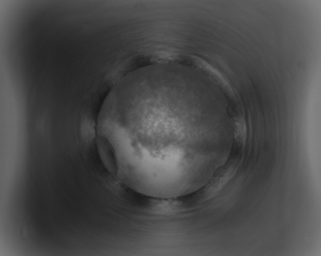 X0000100900621200807151119