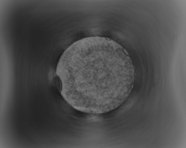 X0000100900624200807151119