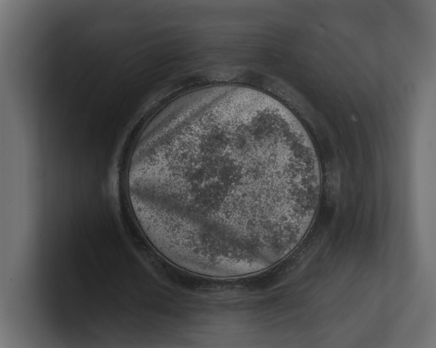 X0000100900626200807151118