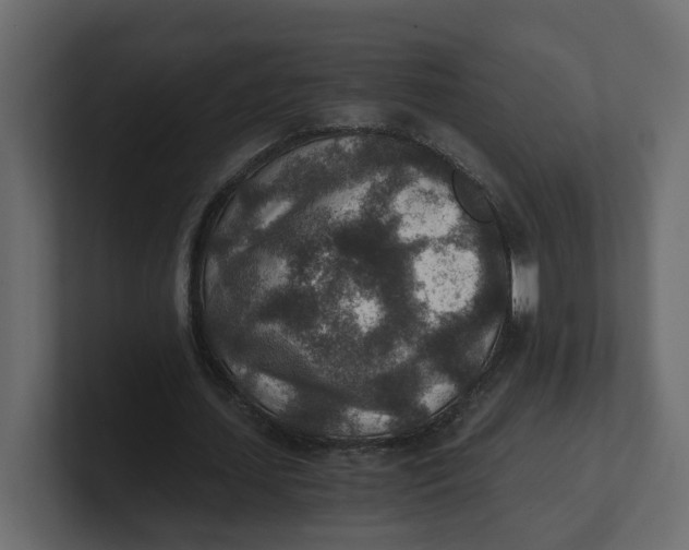 X0000100900627200807151118