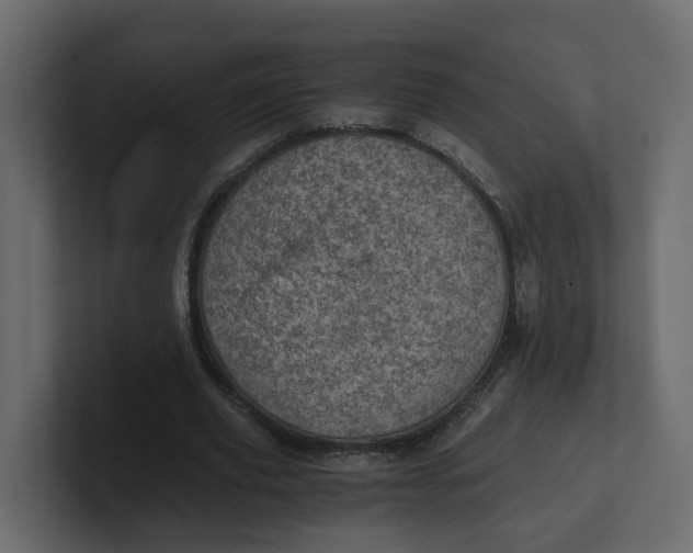 X0000100900629200807151118