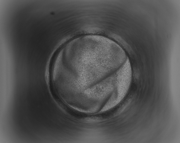 X0000100900630200807151118