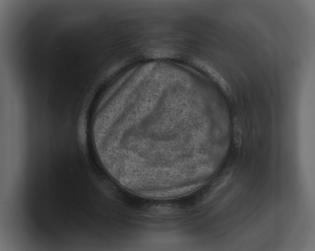 X0000100900631200807151118