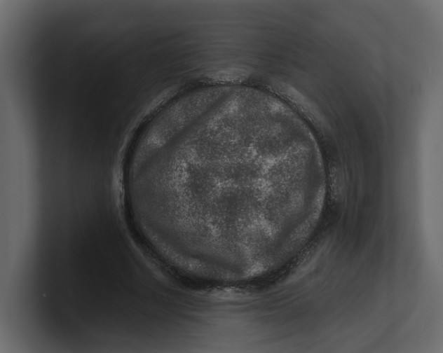 X0000100900634200807151118