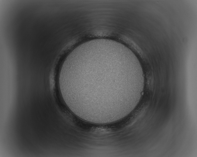 X0000100900635200807151119