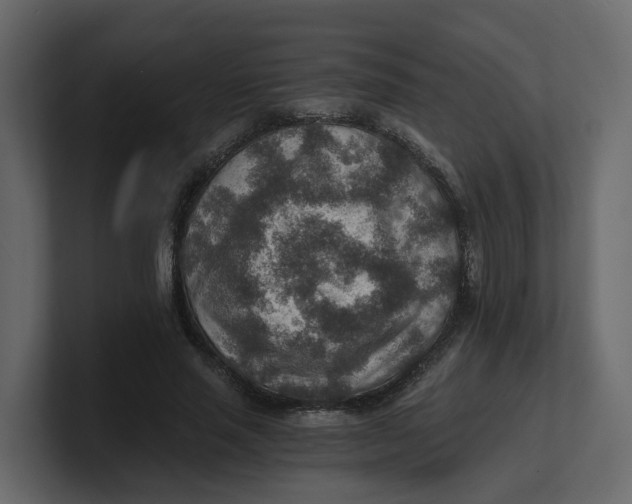 X0000100900637200807151119