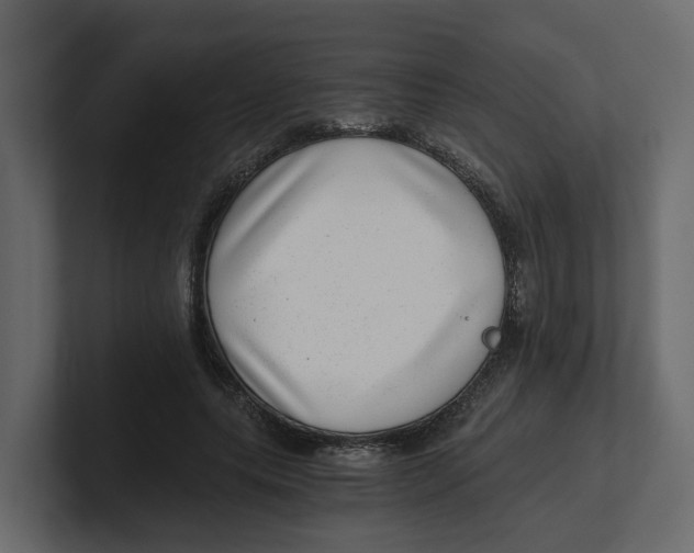 X0000100900639200807151119