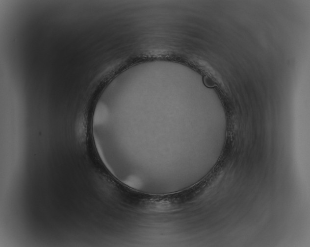 X0000100900640200807151119