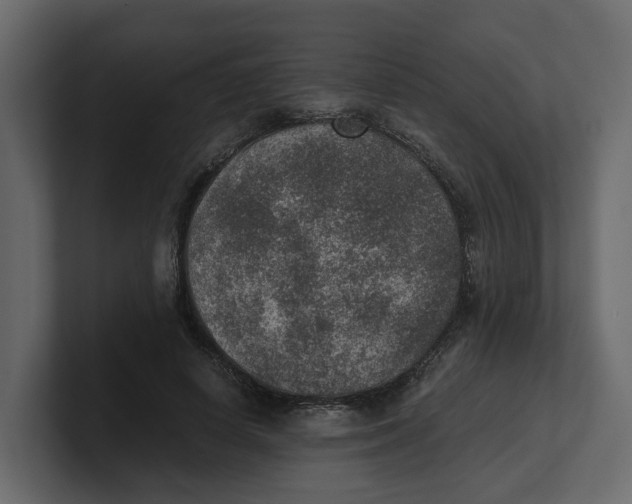 X0000100900642200807151119