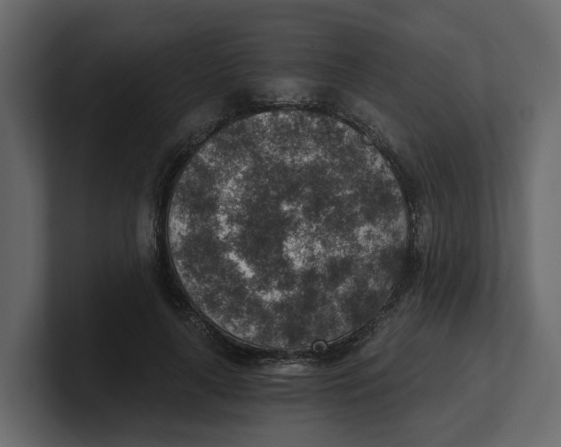 X0000100900643200807151119