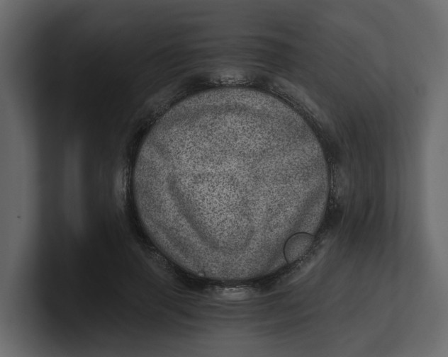 X0000100900645200807151119