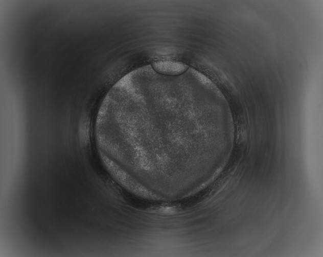 X0000100900647200807151119