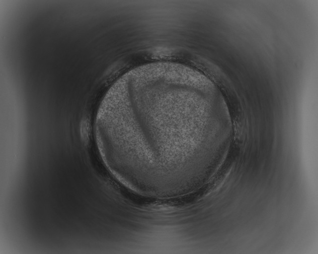 X0000100900648200807151119