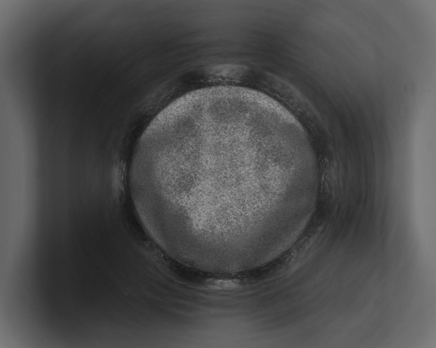 X0000100900649200807151119