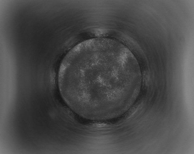 X0000100900650200807151119