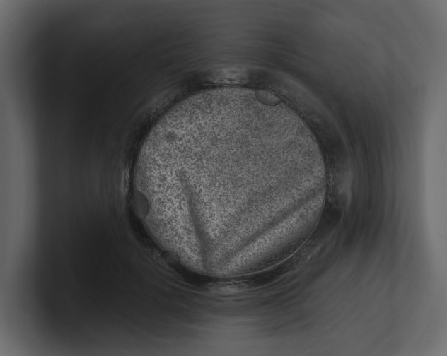 X0000100900652200807151119