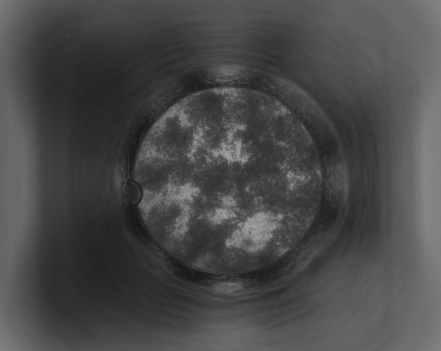 X0000100900653200807151119