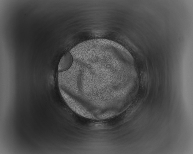 X0000100900655200807151119