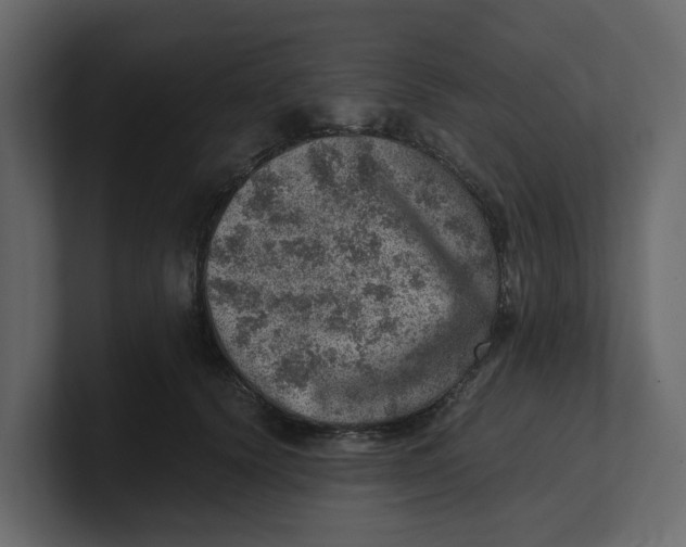 X0000100900656200807151119