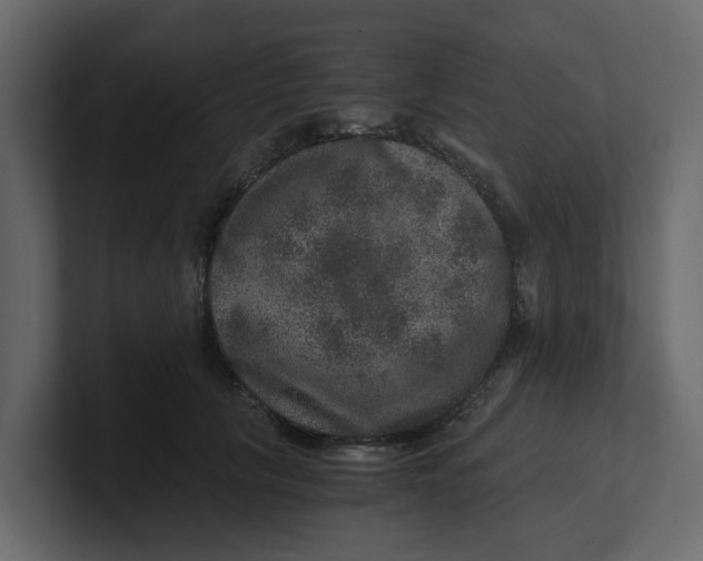 X0000100900657200807151119