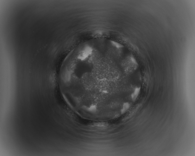 X0000100900659200807151119