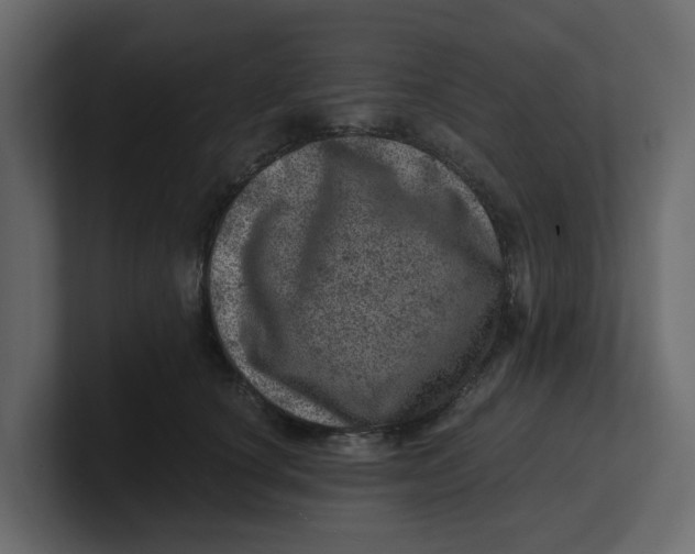 X0000100900660200807151119