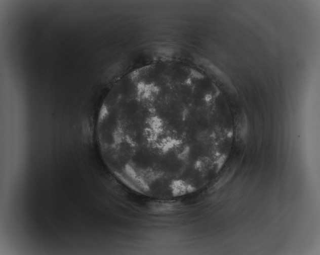 X0000100900661200807151119