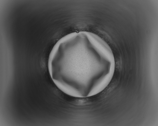 X0000100900662200807151119