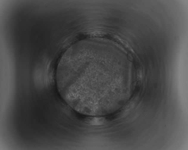 X0000100900663200807151119