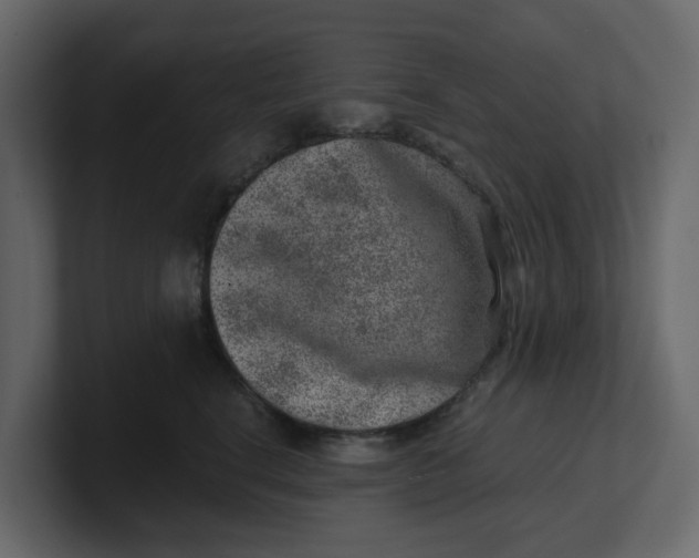 X0000100900664200807151119