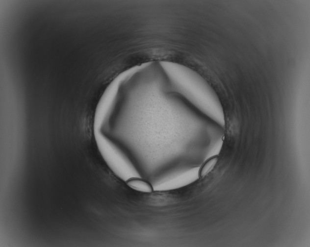 X0000100900666200807151119