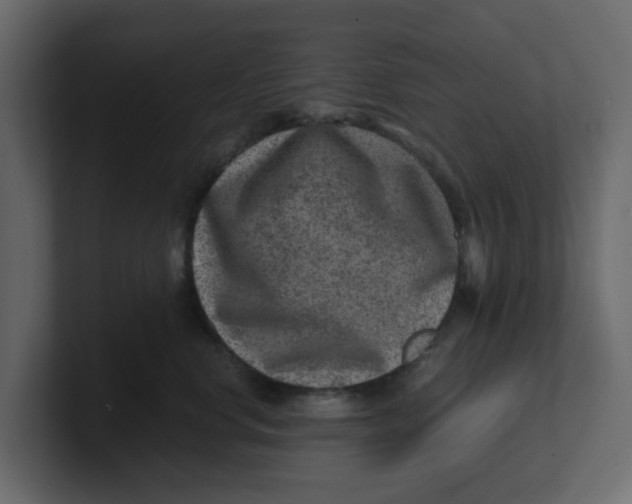 X0000100900668200807151119