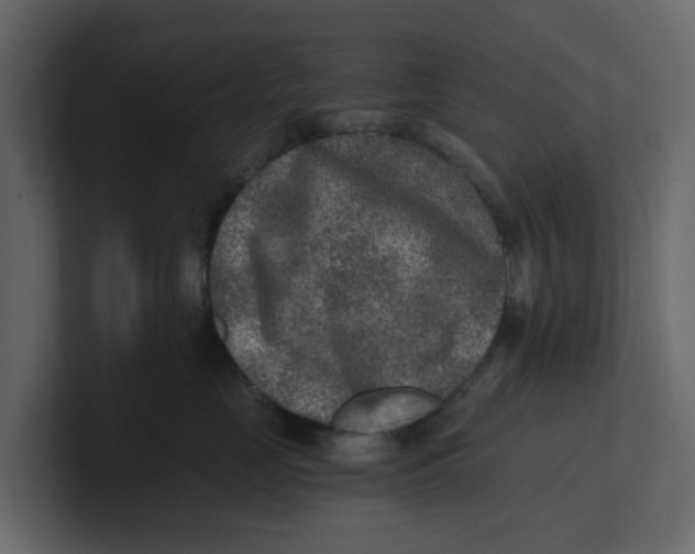 X0000100900669200807151119