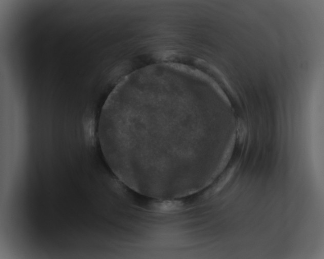 X0000100900670200807151119