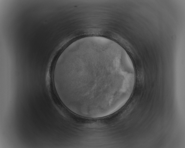 X0000100900674200807151118