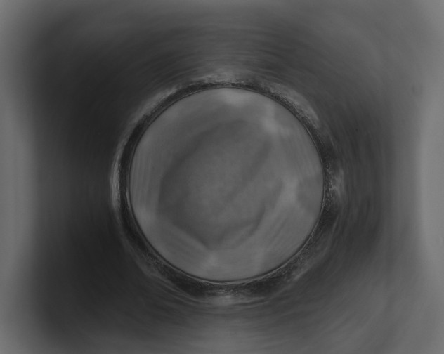 X0000100900678200807151118