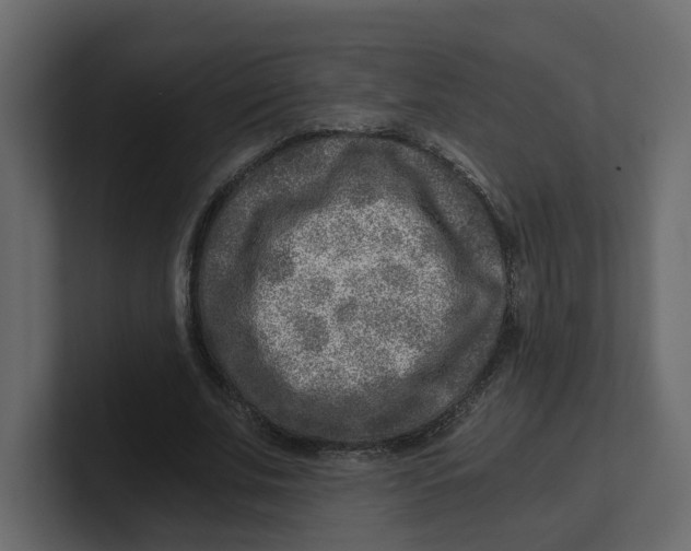 X0000100900679200807151118