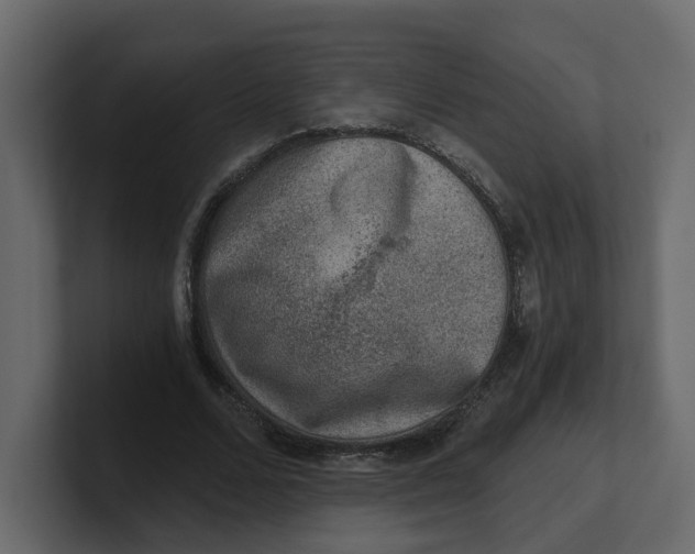 X0000100900680200807151118