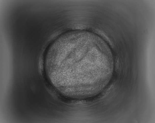 X0000100900683200807151118