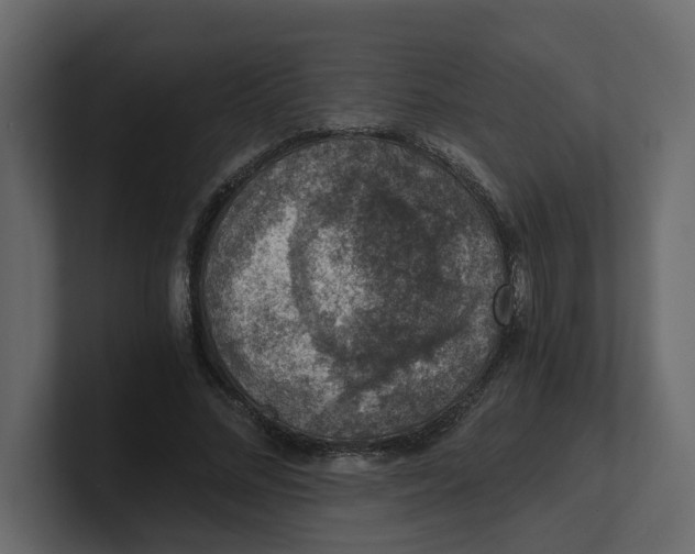 X0000100900684200807151118