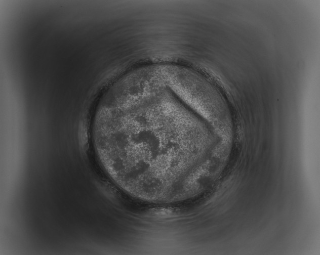 X0000100900687200807151118