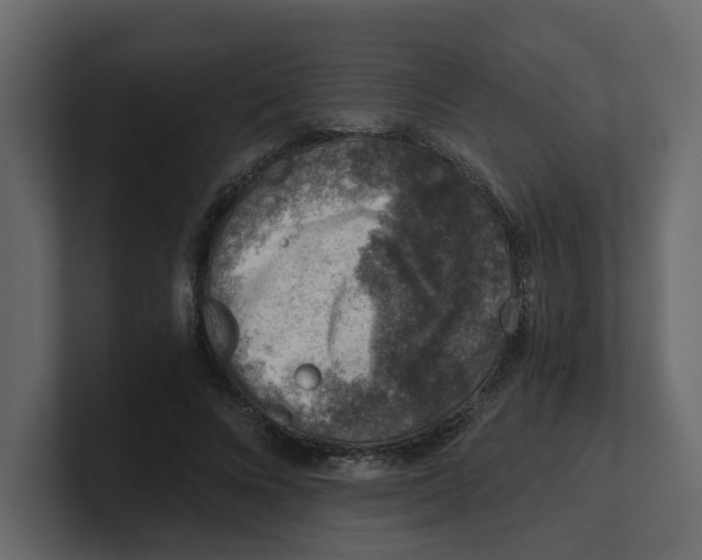 X0000100900688200807151118